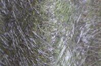 Pishill fibreglass roof work